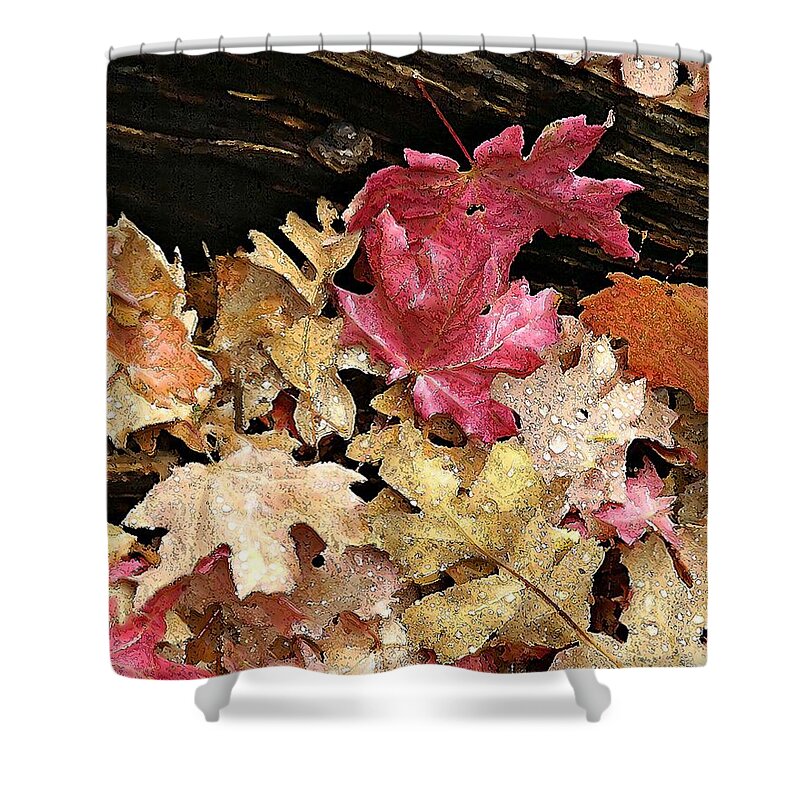 Landscape Shower Curtain featuring the photograph Arizona Fall Colors by Matalyn Gardner