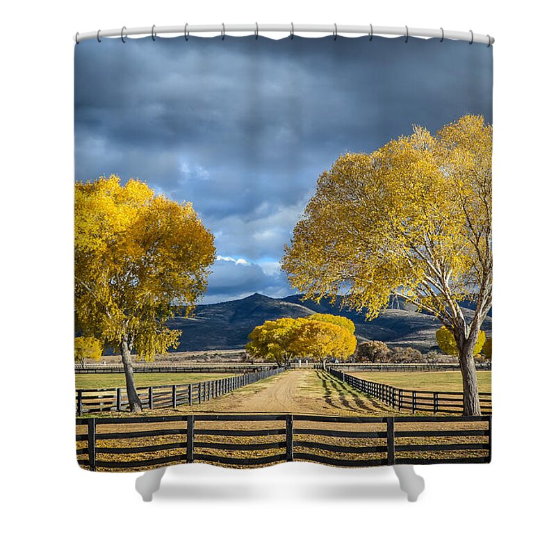 Arizona Shower Curtain featuring the photograph Arizona Horse Ranch by David Downs