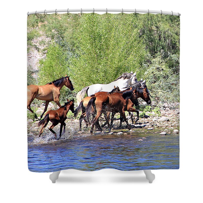  Shower Curtain featuring the photograph Arizona Wild Horse Family by Matalyn Gardner