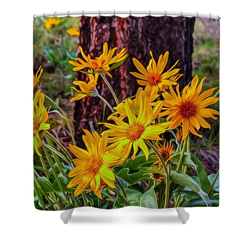 Alpine Shower Curtain featuring the painting Arrowleaf Balsamroot by Omaste Witkowski