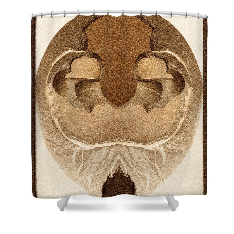 Artifact Shower Curtain featuring the photograph Artifact 7 by WB Johnston