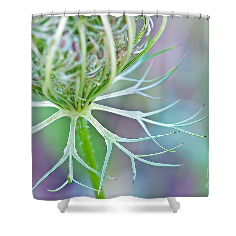 Wildflower Photography Shower Curtain featuring the photograph Artsy Pastal Wildflower by Gwen Gibson