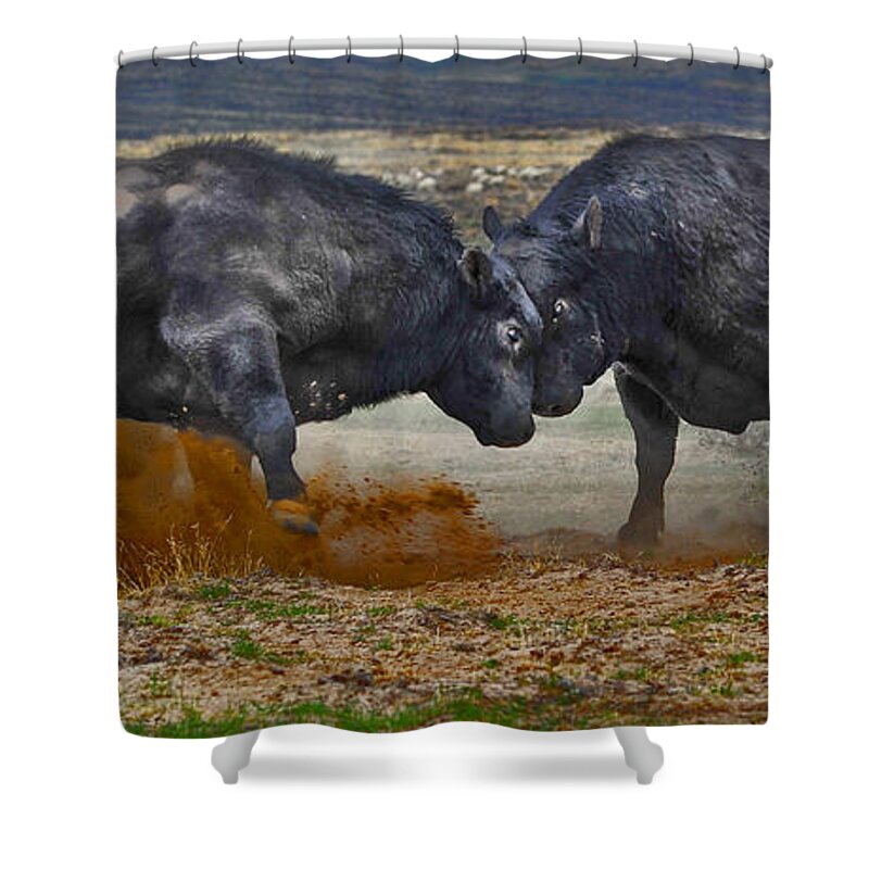 Bulls Shower Curtain featuring the photograph As Real As It Gets by Amanda Smith