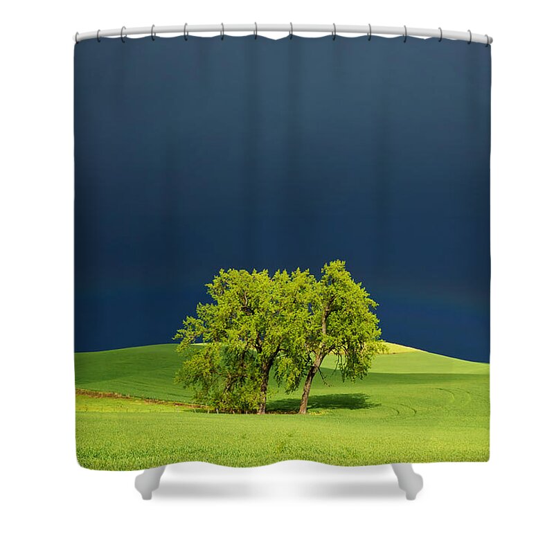 Dark Shower Curtain featuring the photograph As the Sun Returns by Mary Lee Dereske