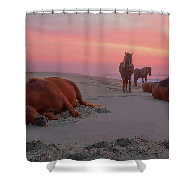 Horse Shower Curtain featuring the photograph Assateague Island Wild Horses by Image By Michael Rickard