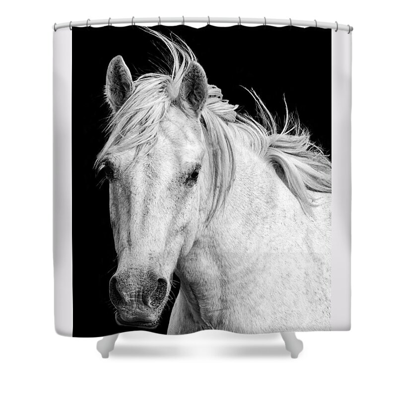 White Horse Shower Curtain featuring the photograph At Carmargue by Gigi Ebert