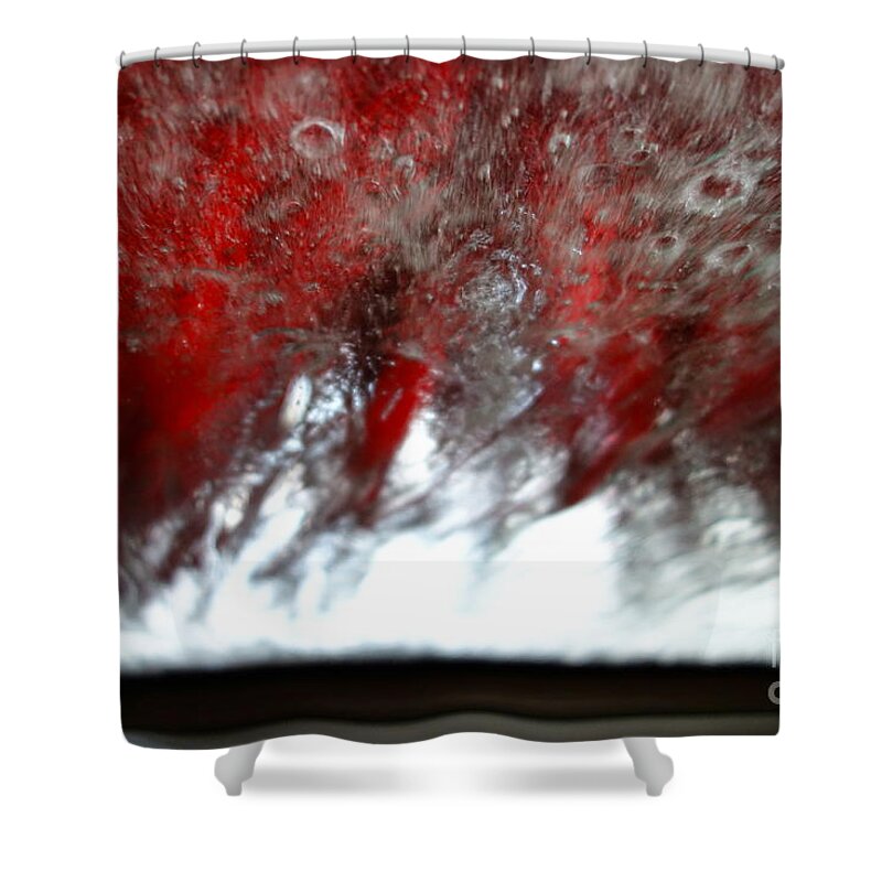 Car Wash Shower Curtain featuring the photograph At The Car Wash 14 by Jacqueline Athmann