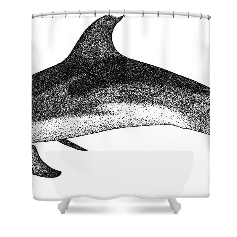 Cetacean Shower Curtain featuring the photograph Atlantic Spotted Dolphin by Roger Hall