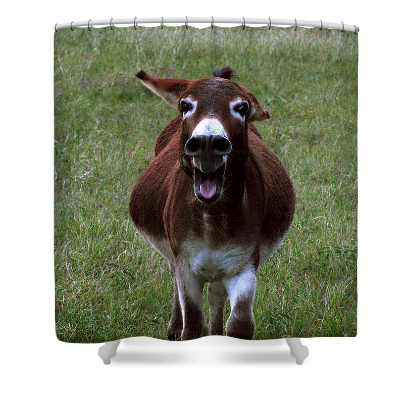 Aggressive Shower Curtain featuring the photograph Attack by Peter Piatt