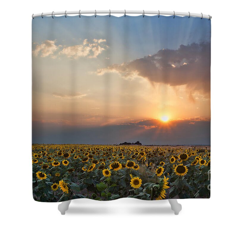 Flowers Shower Curtain featuring the photograph August Dreams by Jim Garrison