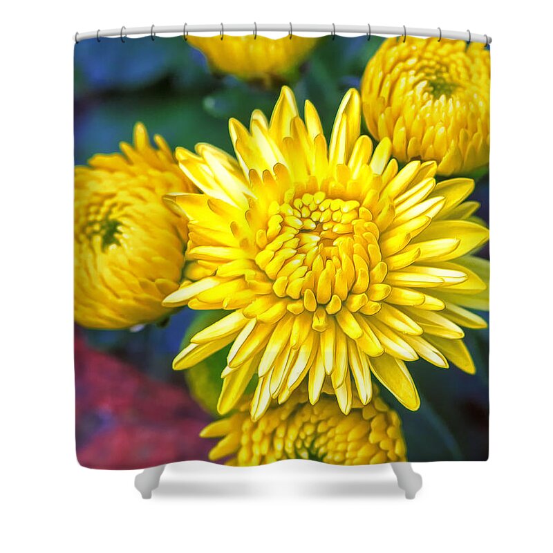 Flower Shower Curtain featuring the photograph Aurulent Flavicomous Petals by Bill and Linda Tiepelman