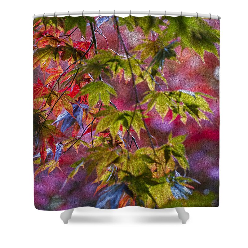 Japanese Shower Curtain featuring the photograph Autumn Acer. by Clare Bambers