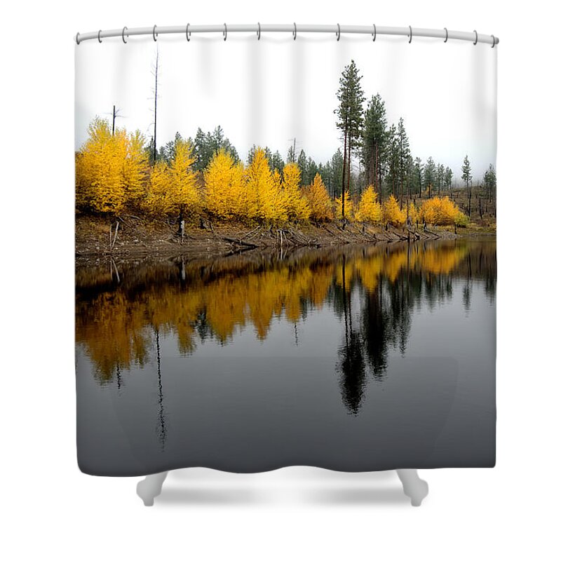 Reflections Shower Curtain featuring the photograph Autumn Arrow by Allan Van Gasbeck