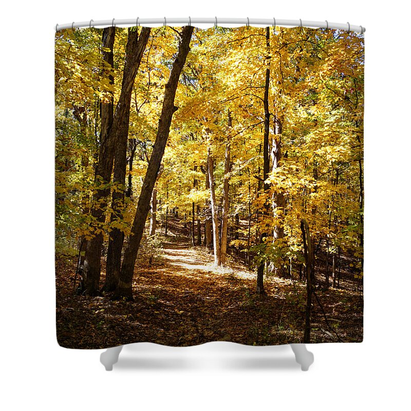 Autumn Shower Curtain featuring the photograph Autumn at Three Creeks by Cricket Hackmann