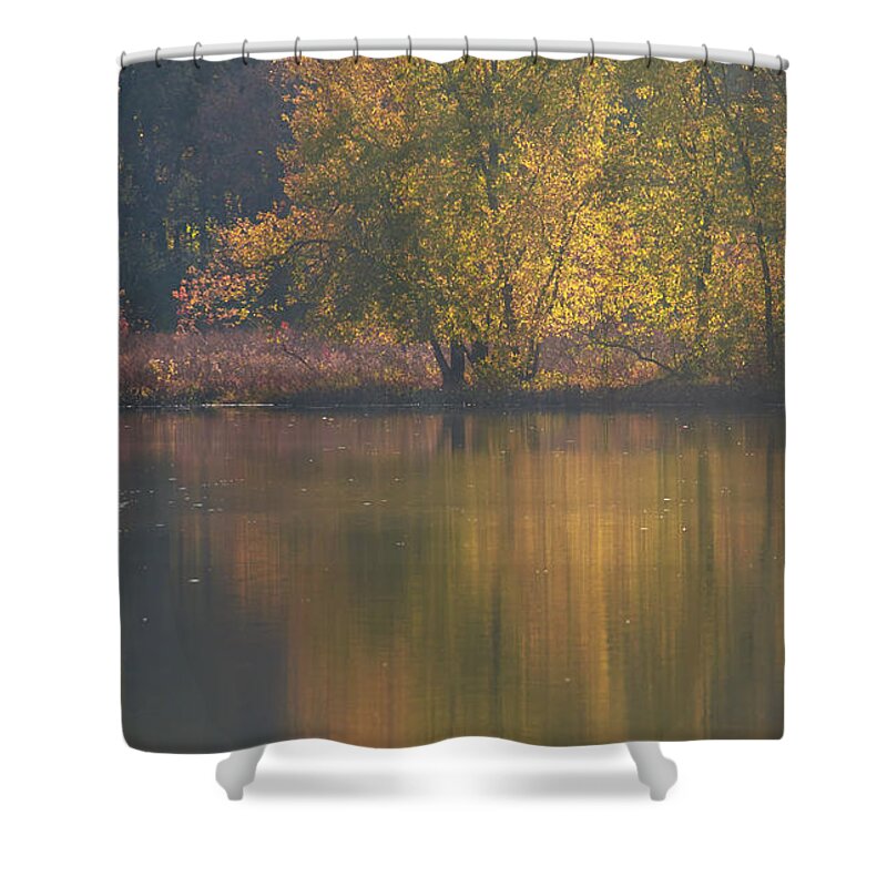 Autumn Shower Curtain featuring the photograph Autumn Backlight by Jean-Pierre Ducondi