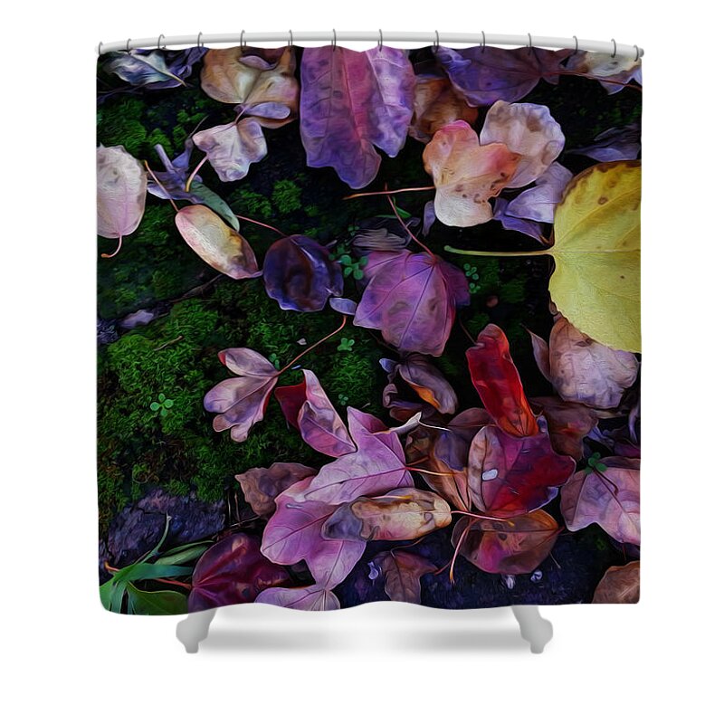 Vincent Franco Shower Curtain featuring the digital art Autumn Carpet by Vincent Franco