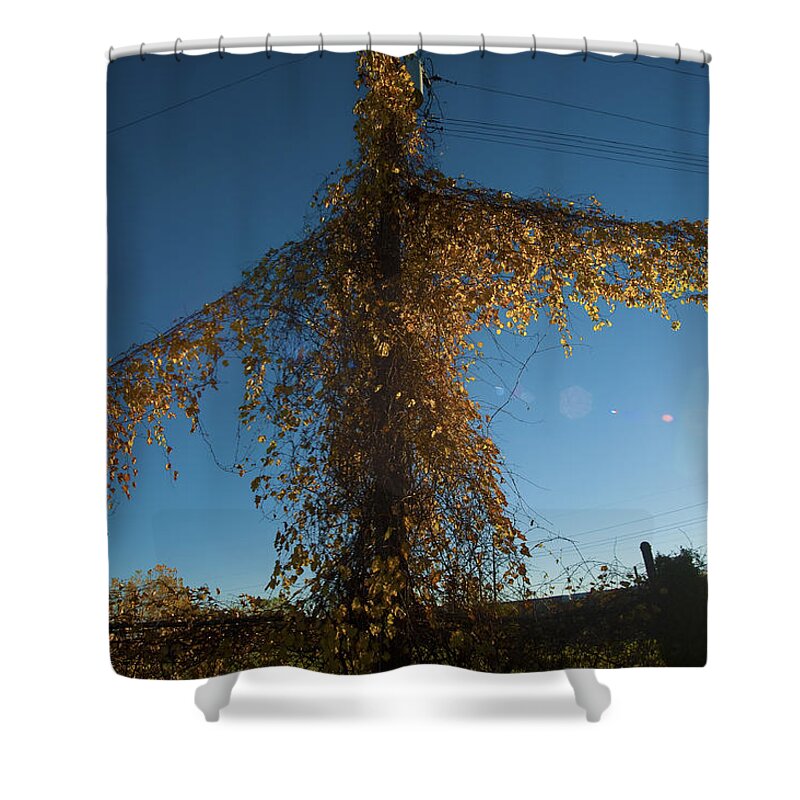 Good News Shower Curtain featuring the photograph Autumn Color by Steven Dunn