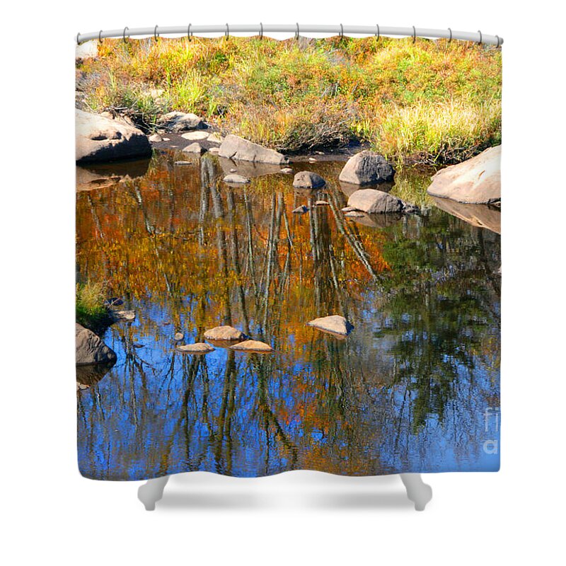 Fall Shower Curtain featuring the photograph Autumn Colors And Reflections by Mariarosa Rockefeller