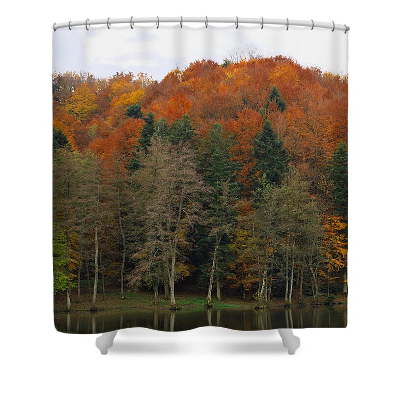 Autumn Shower Curtain featuring the photograph Autumn colors by Ivan Slosar