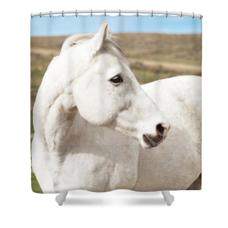 White Shower Curtain featuring the photograph Autumn Comes Early by Amanda Smith