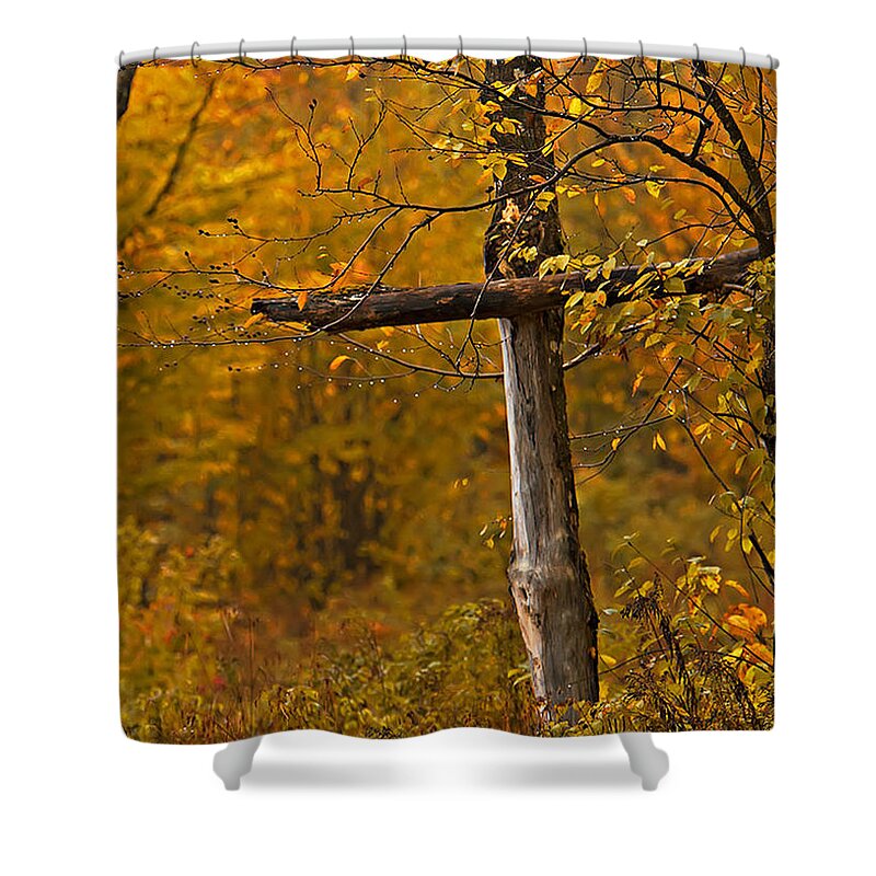 Fall Foliage Shower Curtain featuring the photograph Autumn Cross by John Vose