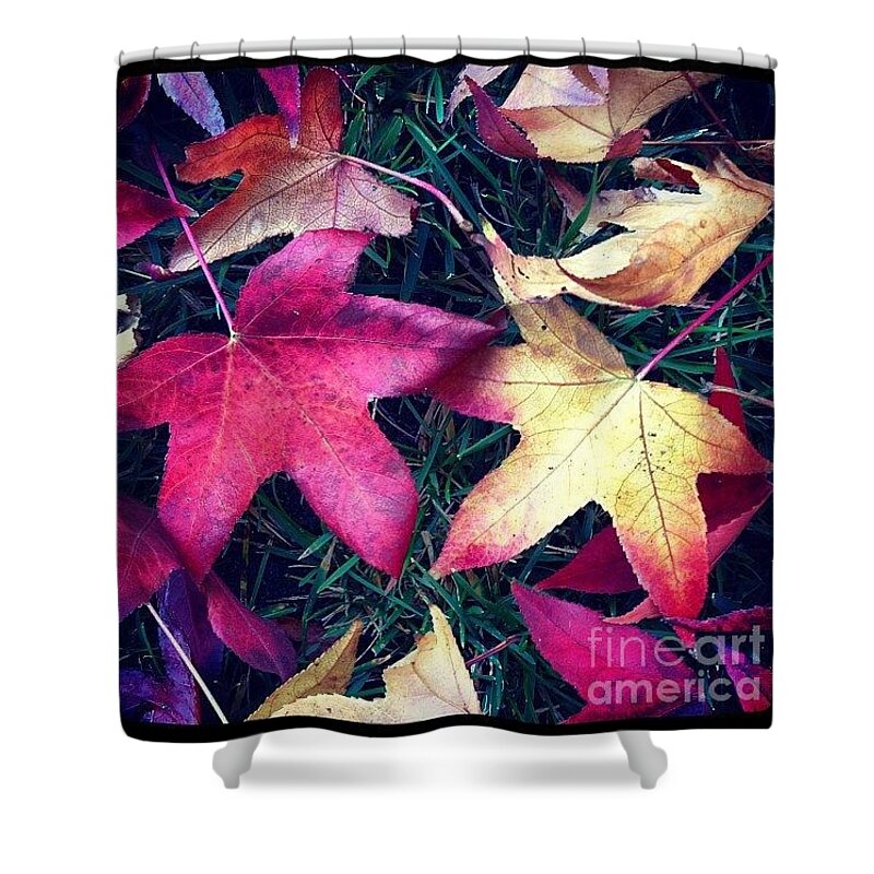 Leaves Shower Curtain featuring the photograph Autumn by Denise Railey
