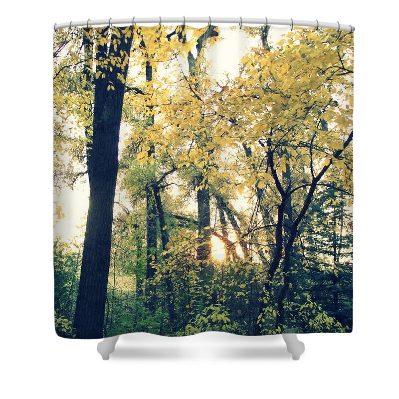 Fall Colors Shower Curtain featuring the photograph Autumn Evening by Jessica Myscofski