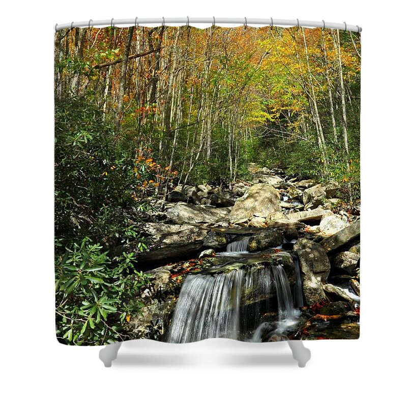 North Carolina Shower Curtain featuring the photograph Autumn Falls by Benanne Stiens