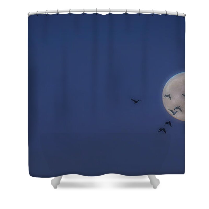 Moon Shower Curtain featuring the photograph Autumn Flight by David Kay
