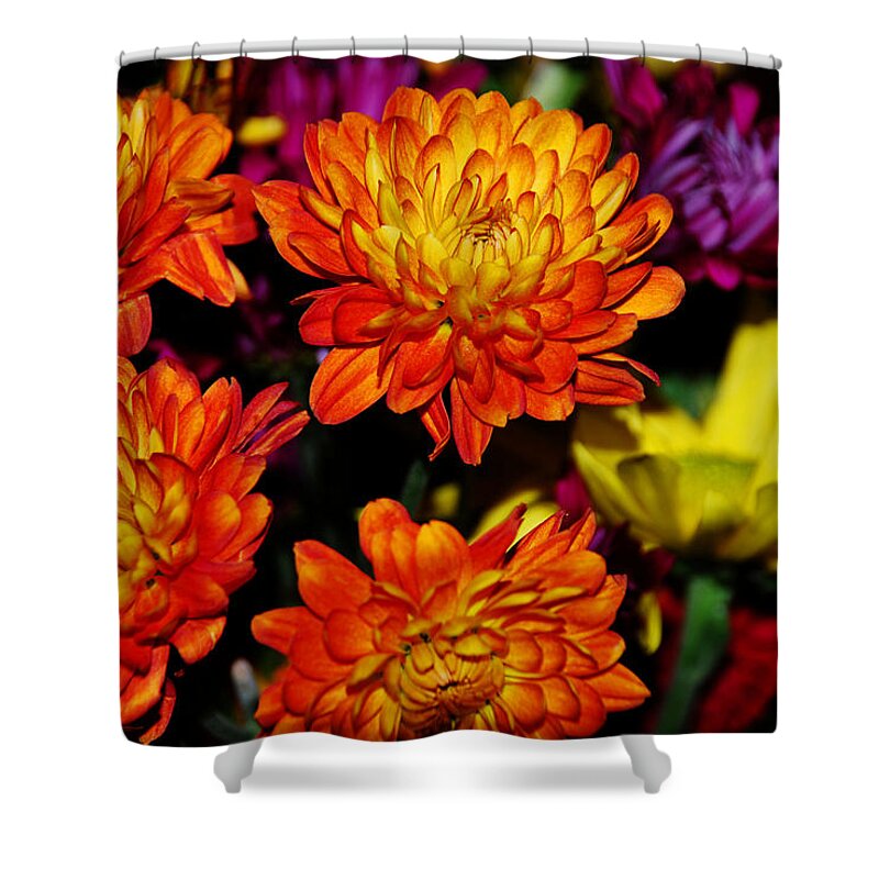 Flowers Shower Curtain featuring the digital art Autumn Flowers by Linda Segerson