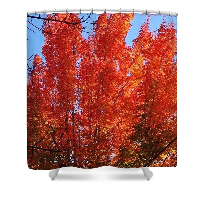 Leaveschangingcolor Shower Curtain featuring the photograph Autumn Glory In Oregon #autumn by Anna Porter