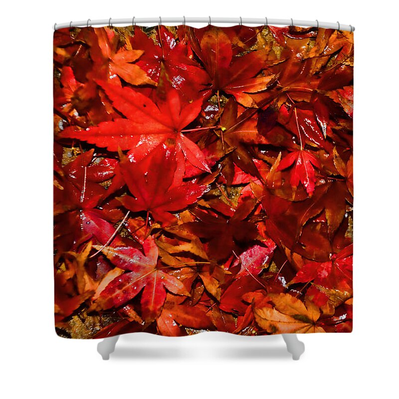 Photography Shower Curtain featuring the photograph Autumn Glow by Kaye Menner by Kaye Menner