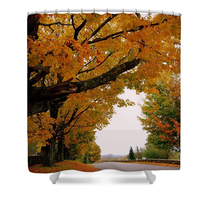 Golden Yellow Leaves Shower Curtain featuring the photograph Autumn Gold by Eunice Miller