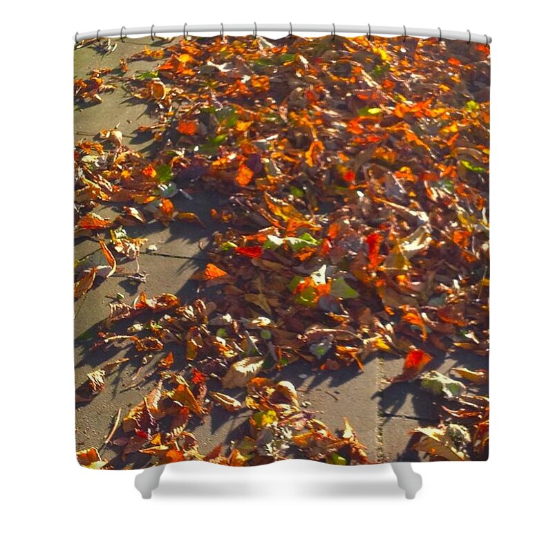 Leaves Shower Curtain featuring the photograph Autumn Gold by Joan-Violet Stretch