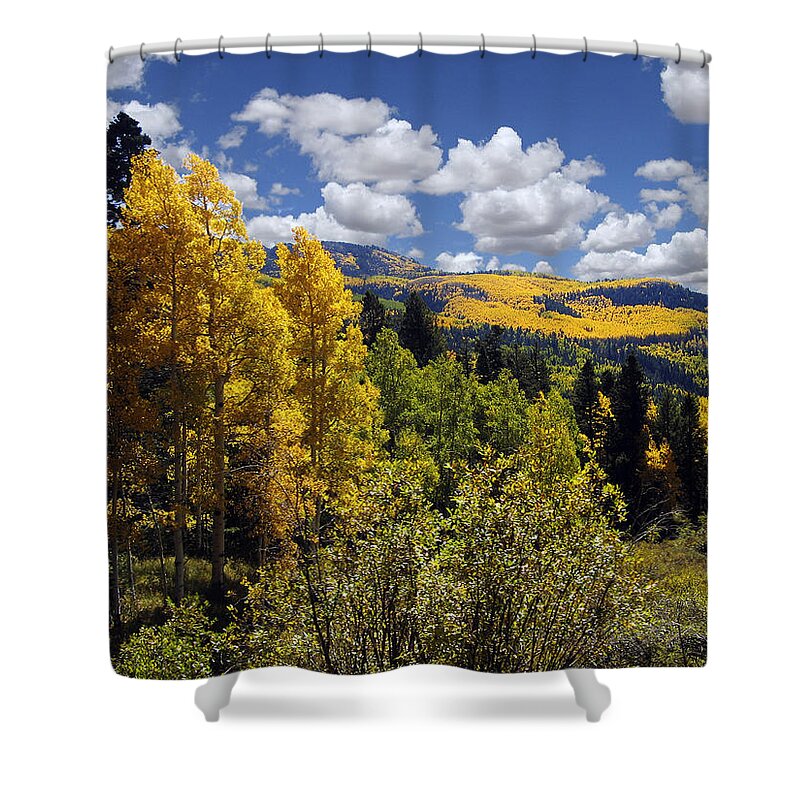 Autumn Shower Curtain featuring the photograph Autumn in New Mexico by Kurt Van Wagner