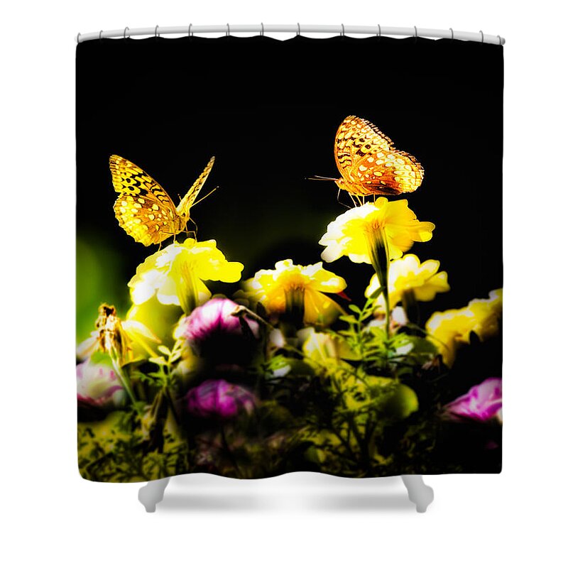 Insect Shower Curtain featuring the photograph Autumn is when we first met by Bob Orsillo