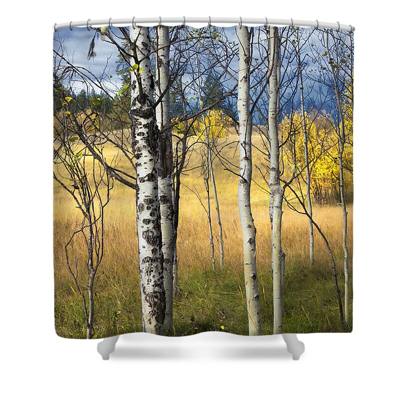 Autumn Shower Curtain featuring the photograph Autumn Landscape by Theresa Tahara