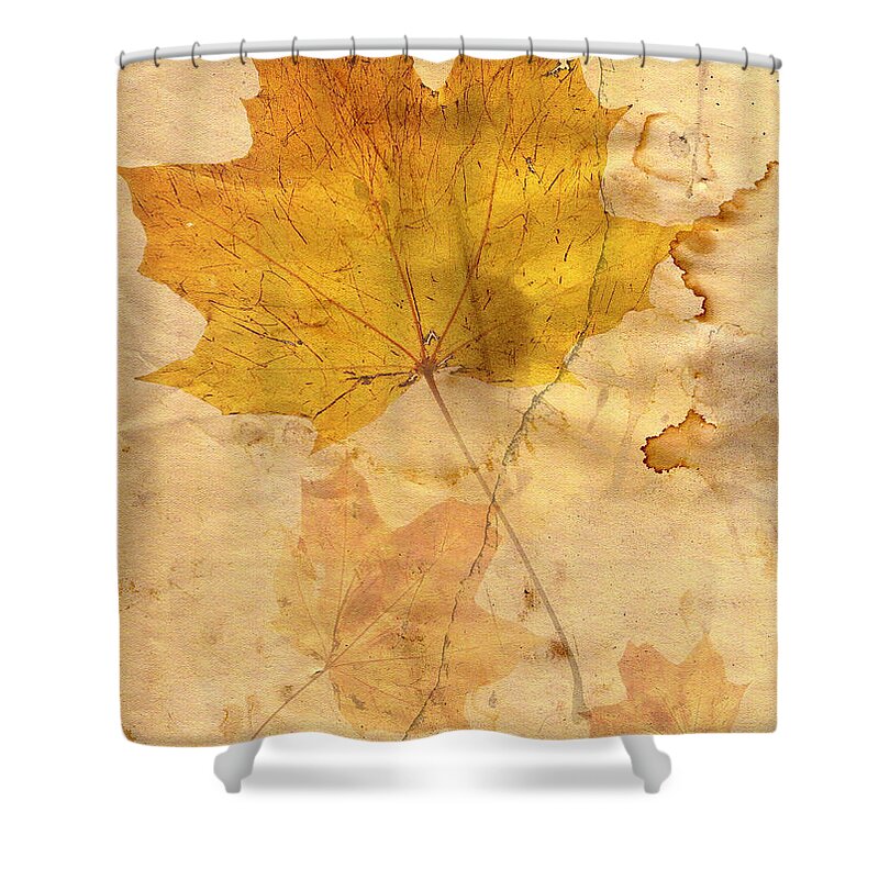 Detail Shower Curtain featuring the digital art Autumn Leaf In Grunge Style by Michal Boubin