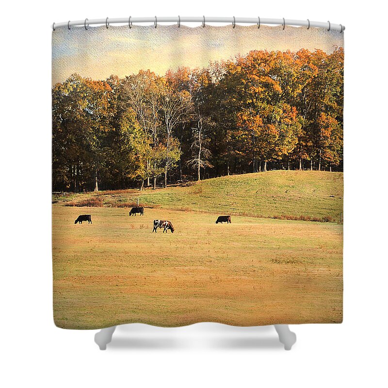 Animals Shower Curtain featuring the photograph Autumn on the Farm by Jai Johnson