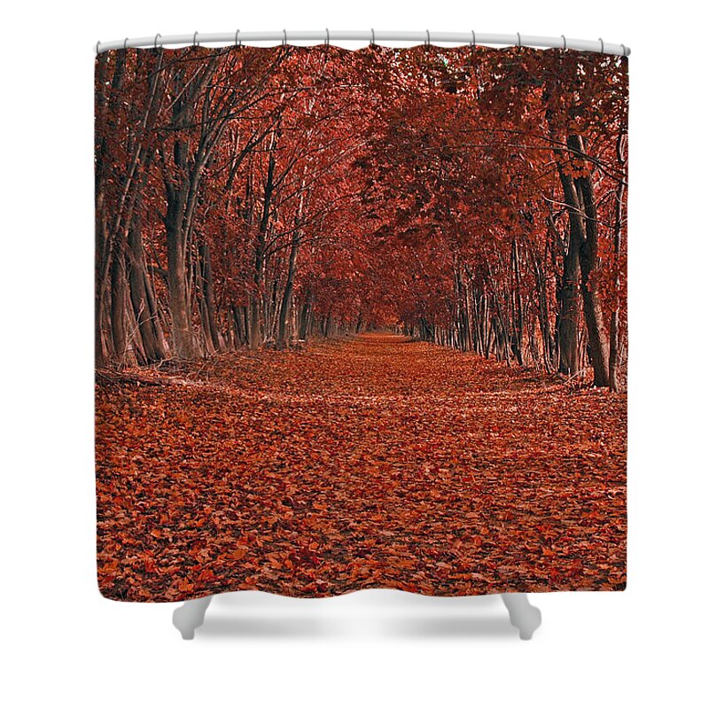 Autumn Shower Curtain featuring the photograph Autumn by Raymond Salani III