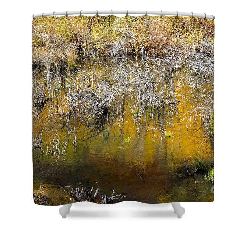 San Juan Mountains Shower Curtain featuring the photograph Autumn Reflection Pool by Bob Phillips