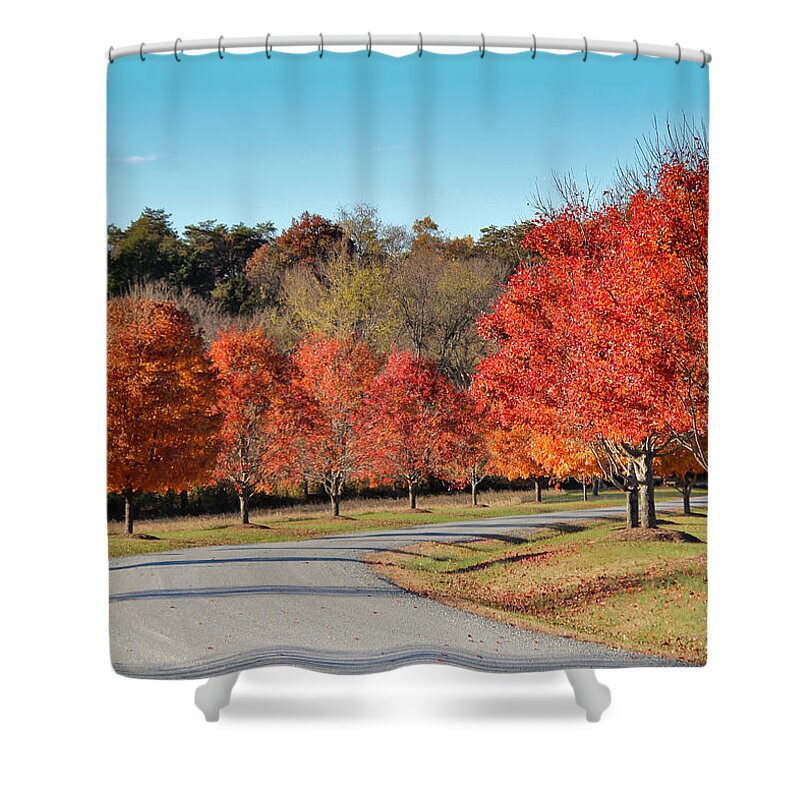 Autumn Road Shower Curtain featuring the photograph Autumn Road by Jemmy Archer
