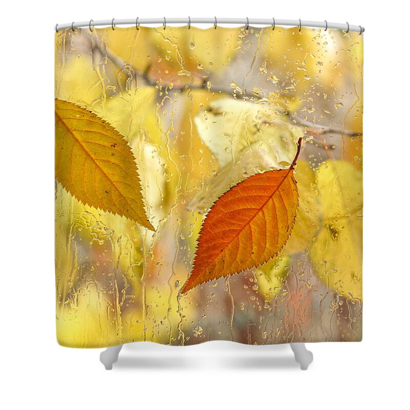 Fall Leaves Shower Curtain featuring the photograph Autumn Romance by Marina Kojukhova