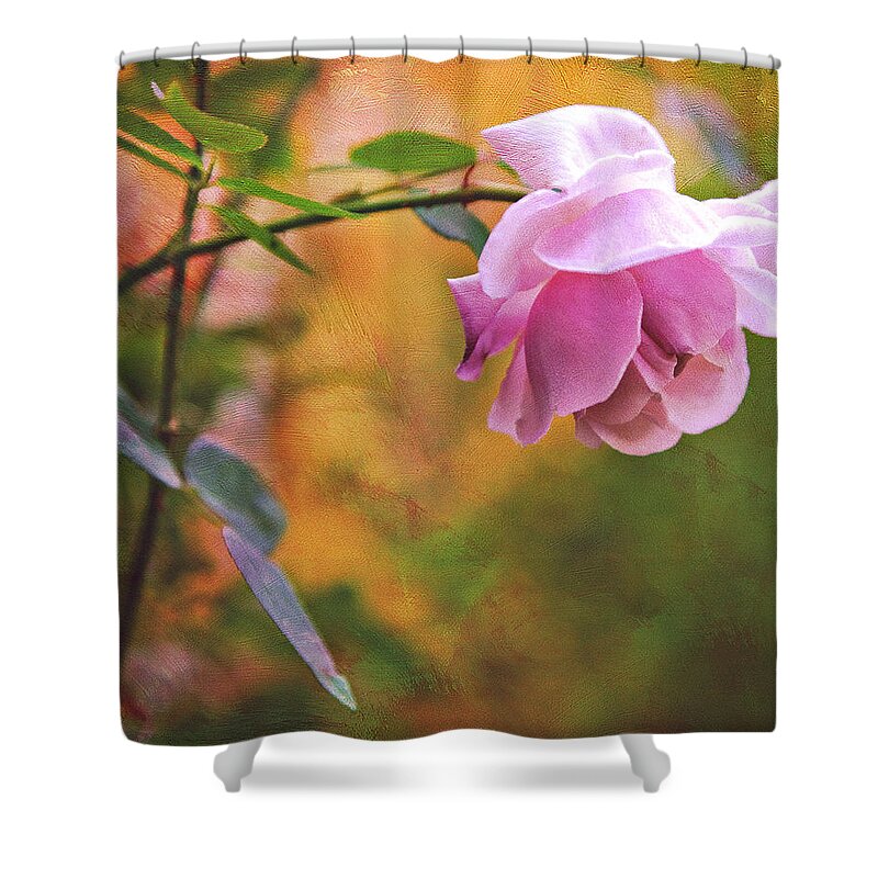 Rose Shower Curtain featuring the photograph Autumn Rose by Theresa Tahara