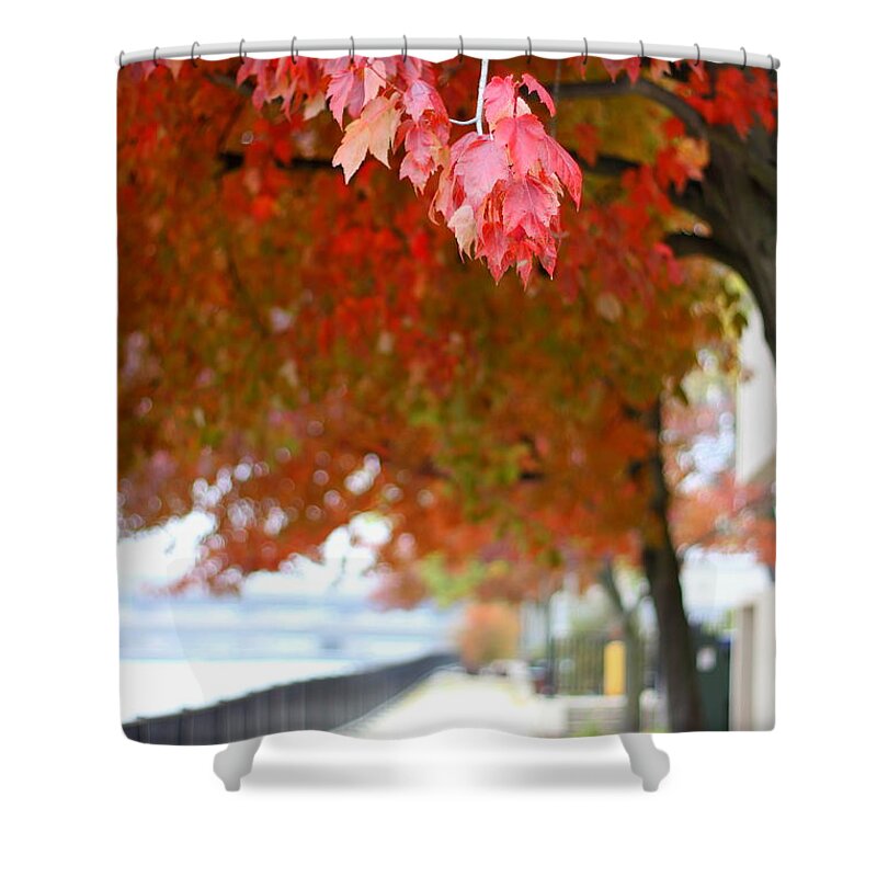 Autumn Shower Curtain featuring the photograph Autumn Sidewalk by Viviana Nadowski