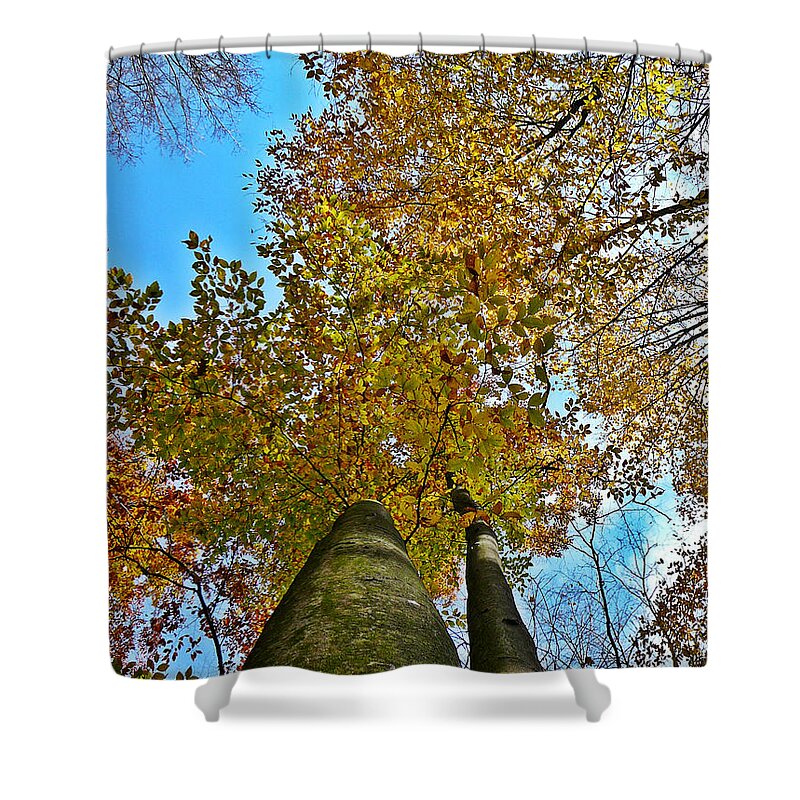 Autumn Shower Curtain featuring the photograph Autumn Sky by Chris Sotiriadis