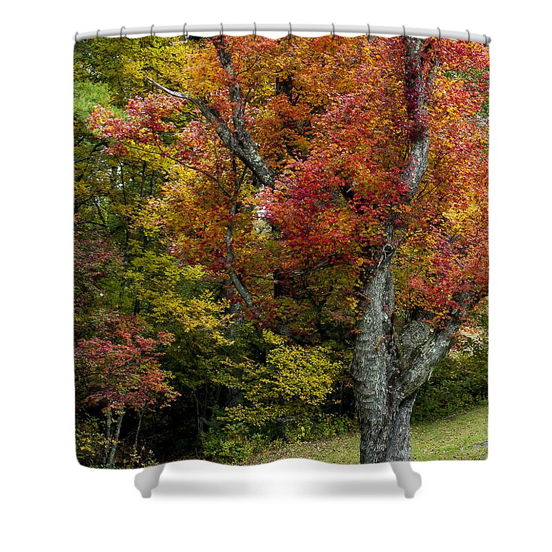 Autumn Splendor Shower Curtain featuring the photograph Autumn Splendor by Terry DeLuco
