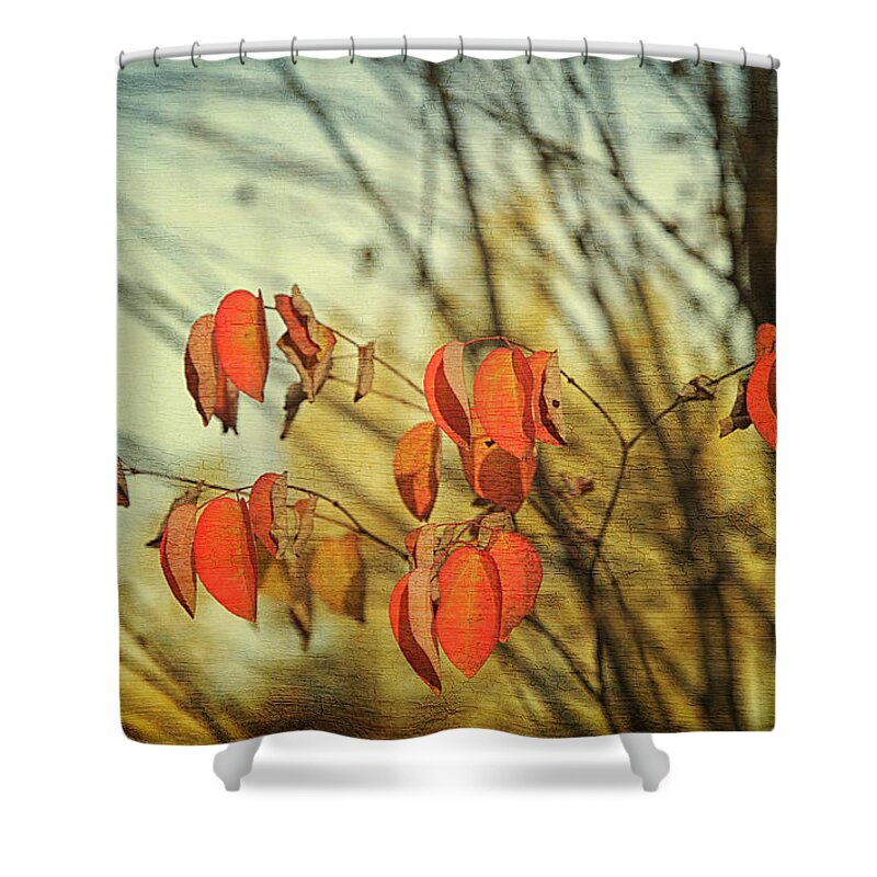 Autumn Shower Curtain featuring the photograph Autumn by Theresa Tahara