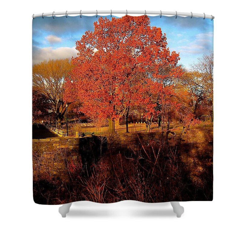 Autumn Shower Curtain featuring the photograph Autumn Tree by Ydania Ogando