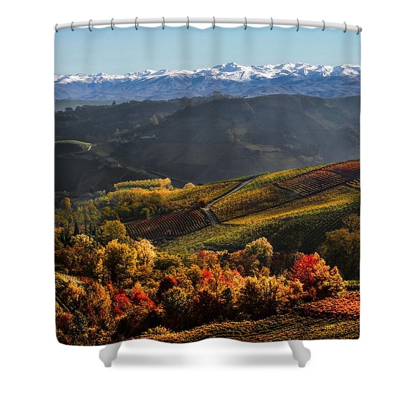 Scenics Shower Curtain featuring the photograph Autumn Vineyard by Jrd